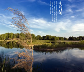 新義水鄉(xiāng)中醫(yī)藥浴康養(yǎng)、黃龍溪古鎮(zhèn)二日游